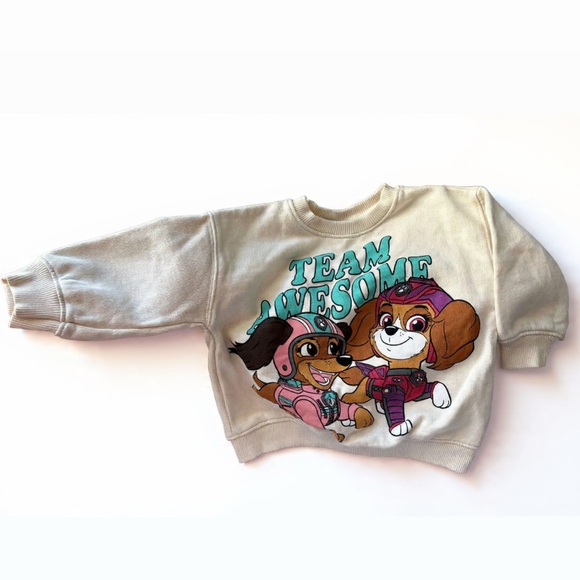 Zara Other - Zara Paw Patrol Sweatshirt 🐾 Size 9-12 Months
